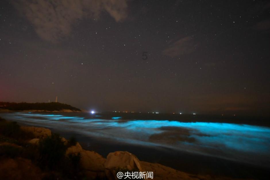球球大作战下载最新版