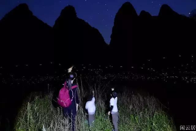 燃烧吧大脑免广告最新版