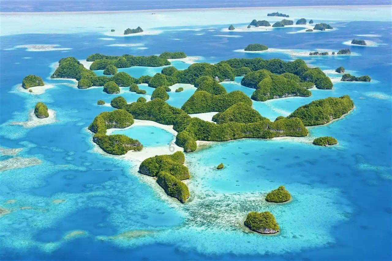 涉10大方面！大鹏新区最新部署，事关旅游