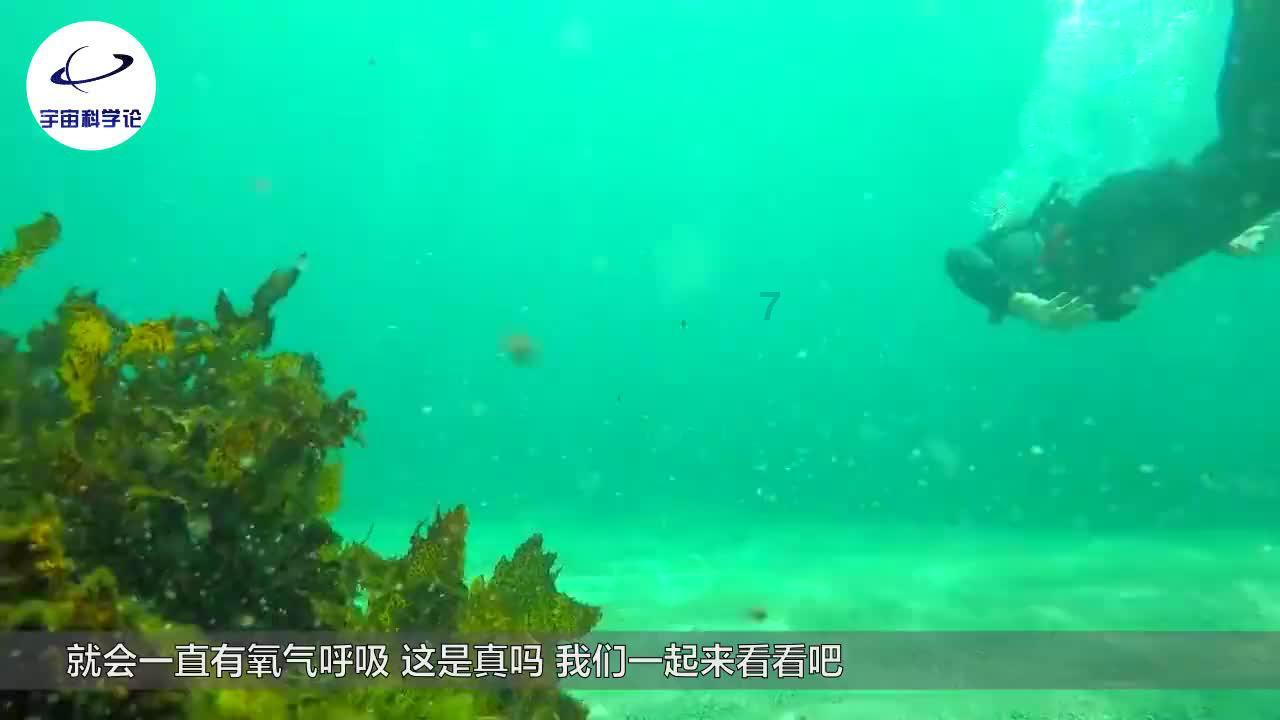 河清海晏