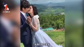 小猫钓鱼正版下载中文版