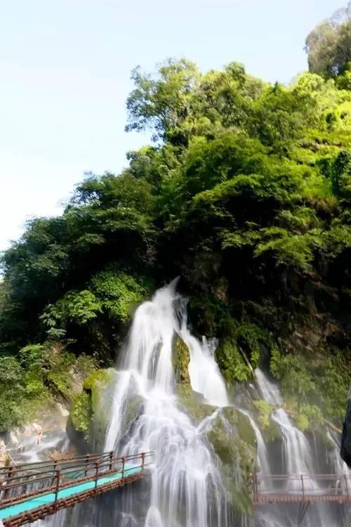 玫瑰种植户陈艳:采花卖花忙