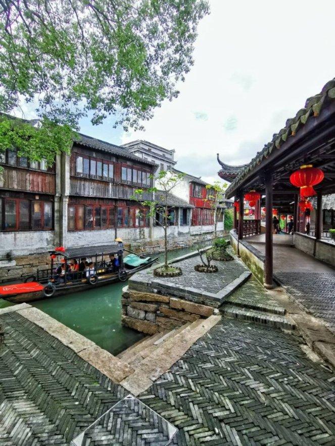 观察睡莲和荷花，它们有哪些适应水生环境的结构特征？游戏画面