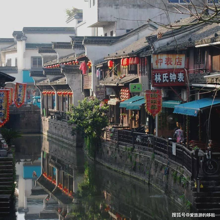 忍者鲨鱼